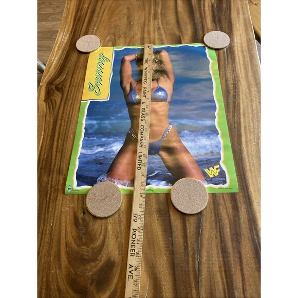 Sunny WWF Poster 16" x 20" Wrestling - Picture 2 of 7